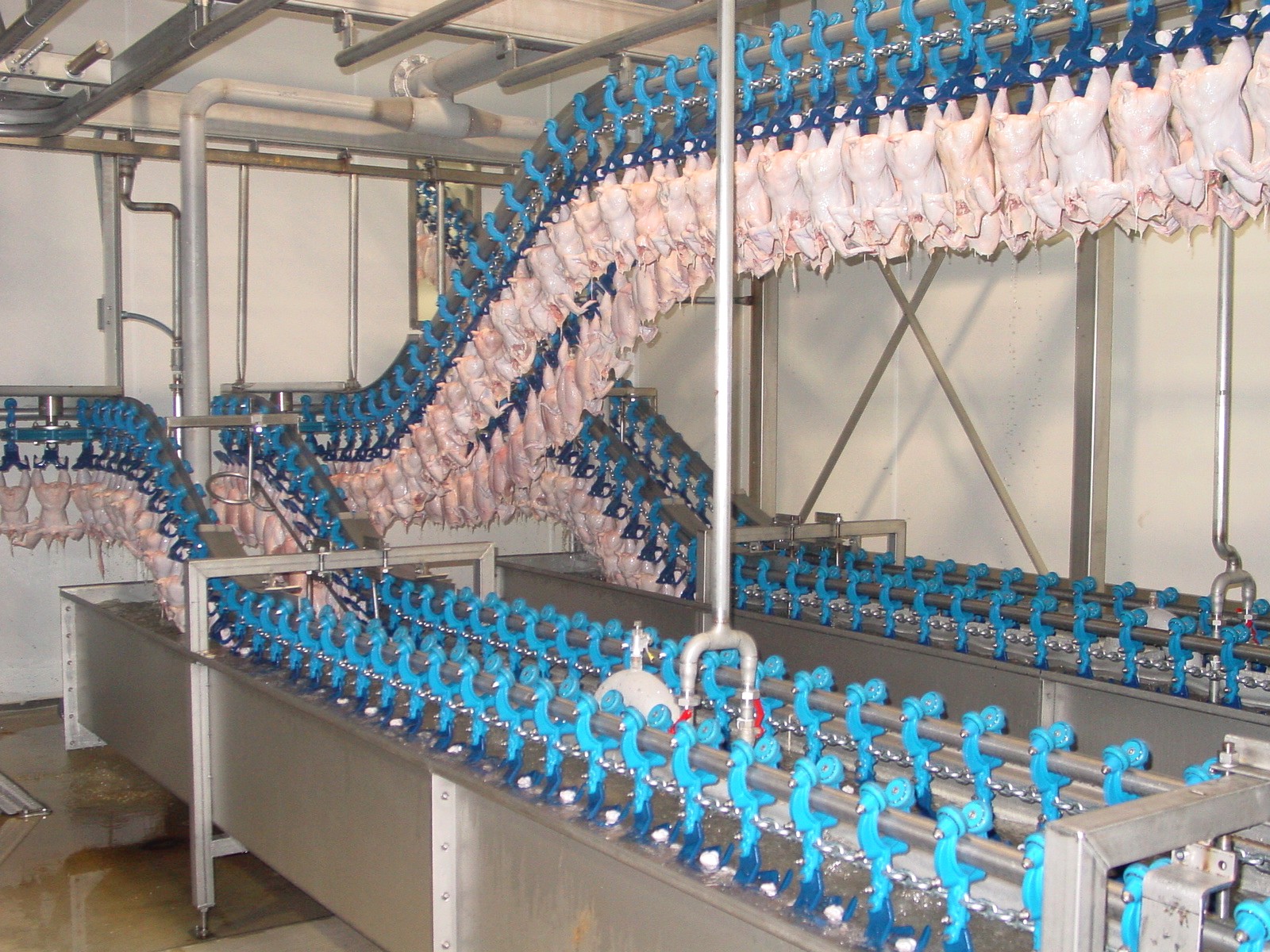 Carcasses passing through TopKip Combi water tanks on the shackle line