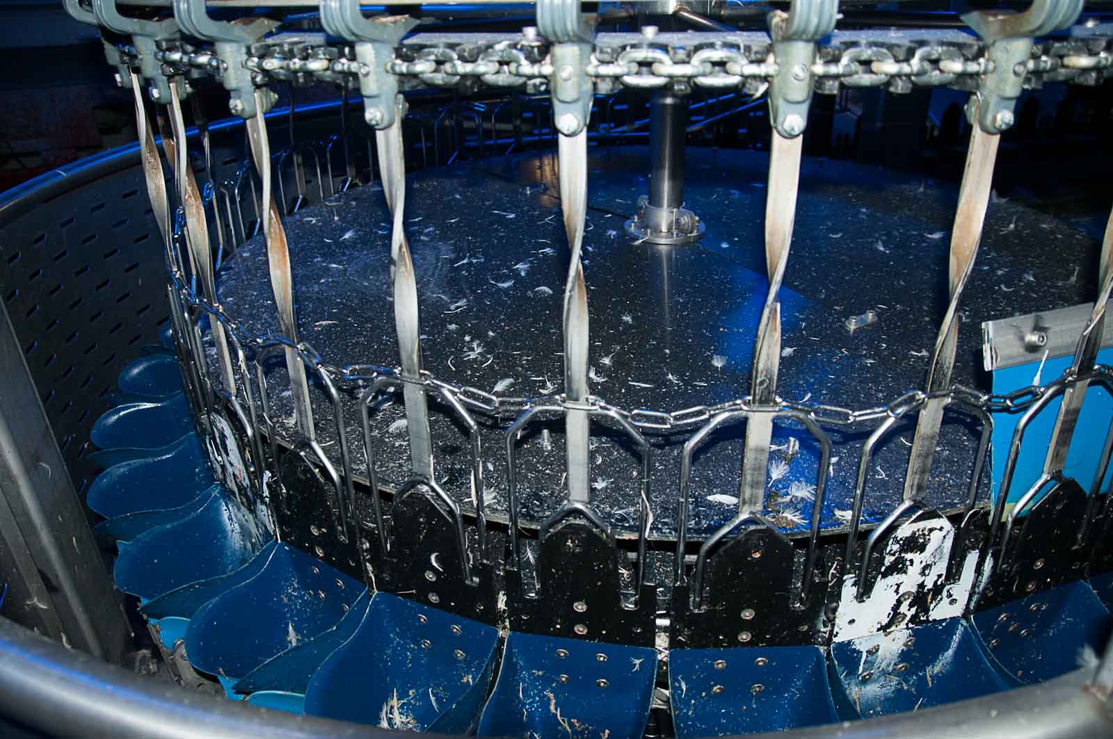 ODIGOS carousel with holders
